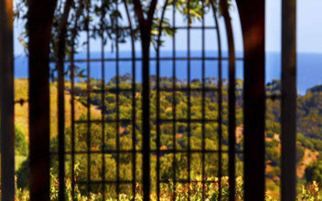 The Retreat at Chapel Hill Winery