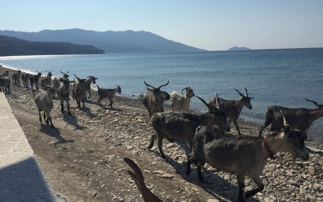 Beach House For Short And Long Term Holidays