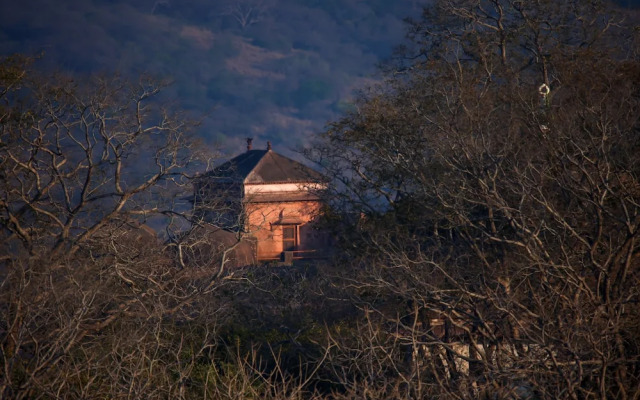 Sawai Shivir Ranthambore by TUTC