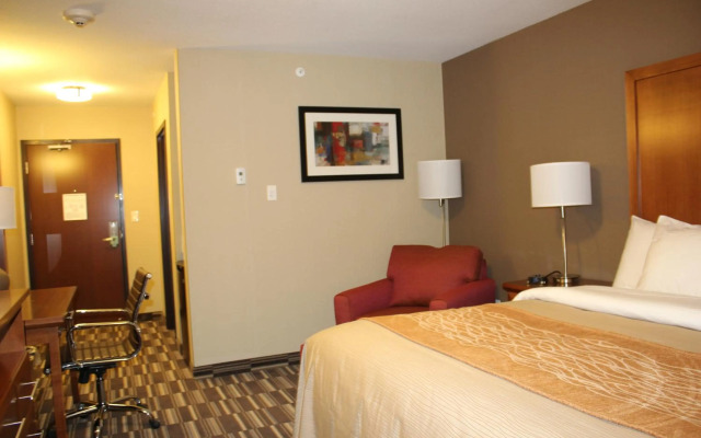 Comfort Inn & Suites Edmonton International Airport