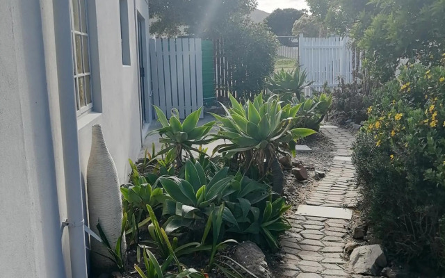 Its Practical Holidays