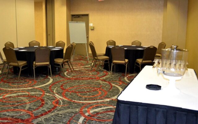 Holiday Inn Houston S - Nrg Area - Medical Center by IHG