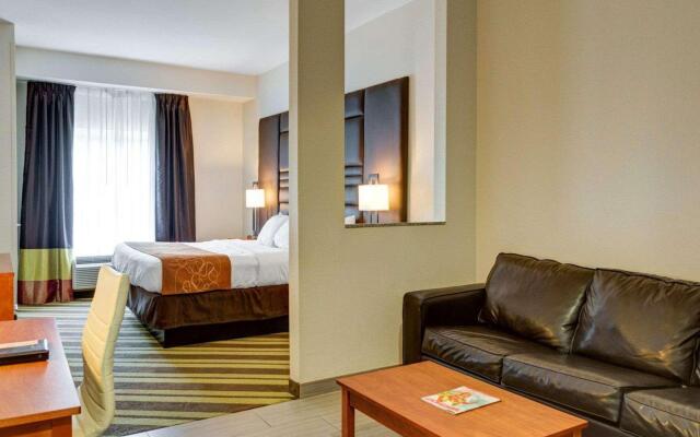 Comfort Suites Denham Springs