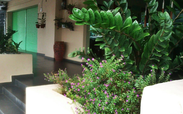 The Fern Lodge (Sanitized Stay)