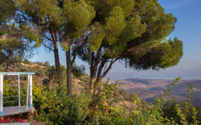 Michelle Suite סוויטת מישל