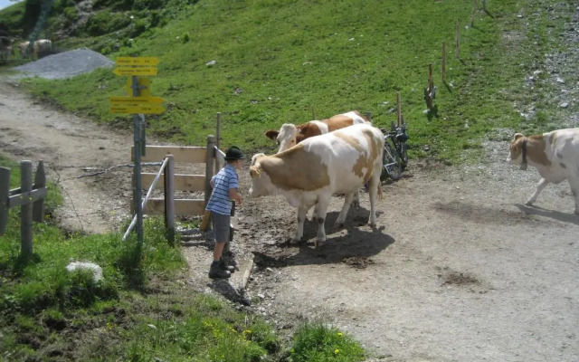 Appartement Lindner Hannes