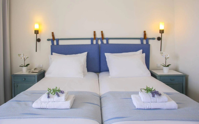 Domes Aulus Zante, Autograph Collection