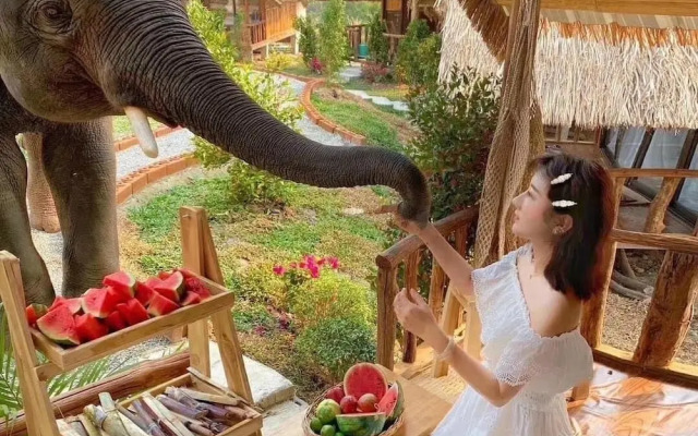 3 Pok Maiwang Elephant Hostel