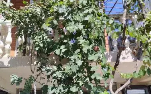 New Tbilisi Hostel