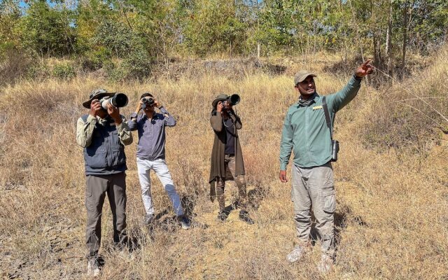 Tadoba Jungle Camp
