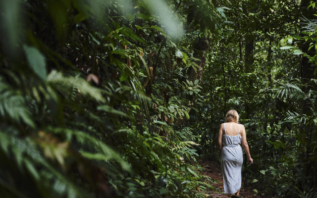 Daintree Ecolodge