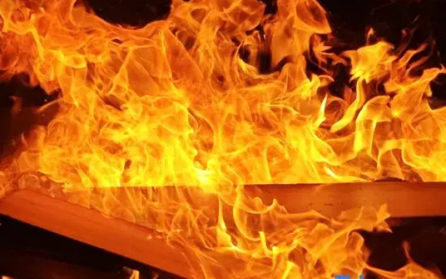 Monster Planet Art Inn