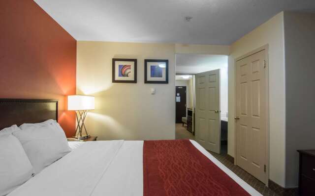 Comfort Inn & Suites Airport South