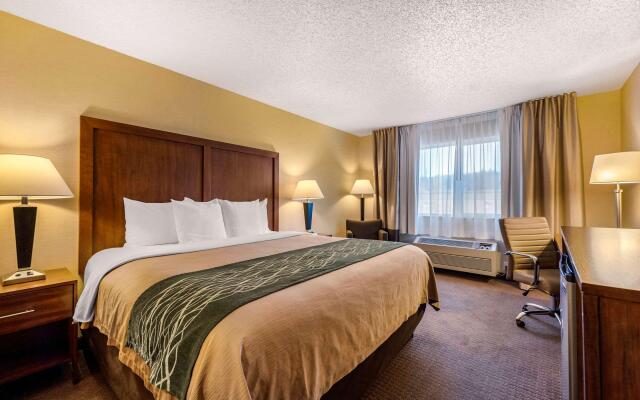 Comfort Inn & Suites Bothell - Seattle North