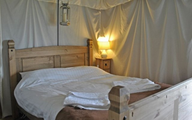 Bear Lodge - Glamping