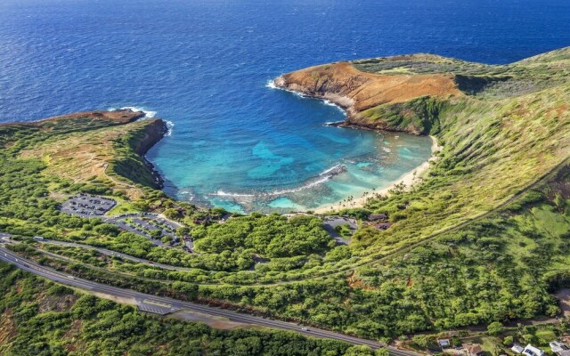 Hawaiian Monarch 3102a Condo by Redawning