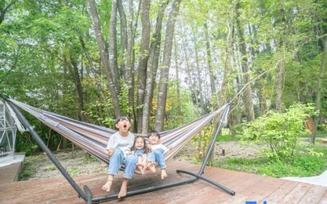 Nakatsugawa Glamping Morinosora