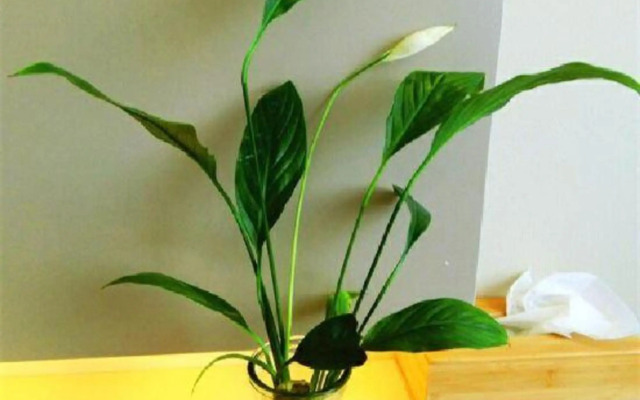 Suzhou Happy Time Boutique Hotel