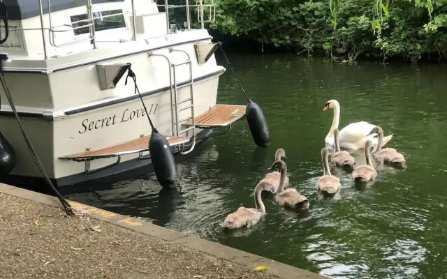 Riverside Boat Retreat on the River Thames