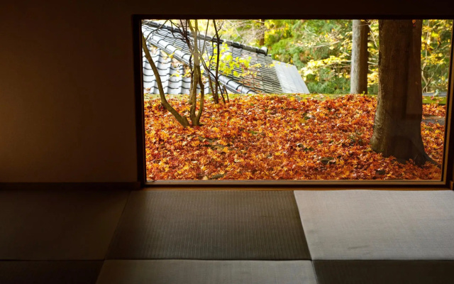Tatsunoyasanso Satonoyu