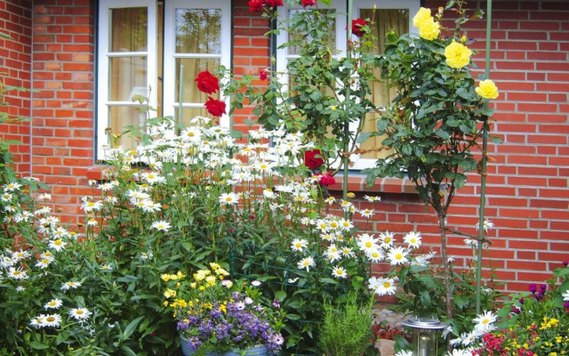 Apartment, Oevenum in Oevenum