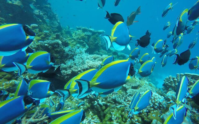 Velana Beach Hotel Maldives