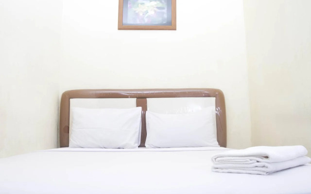 House of Arsonia Bougainvillea