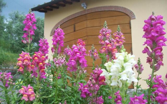 La Casa dei Limoni