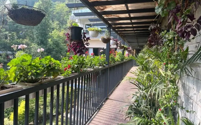 Dippys the boutique hotel