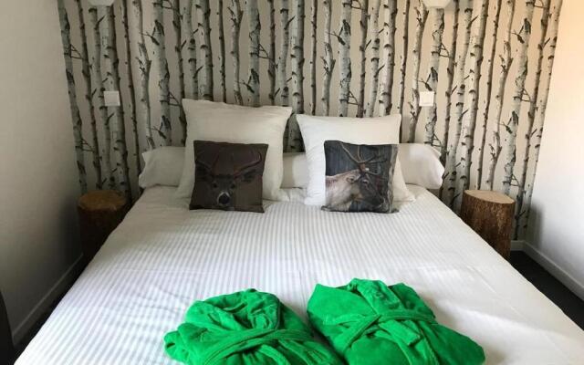 La chouette au bouleau