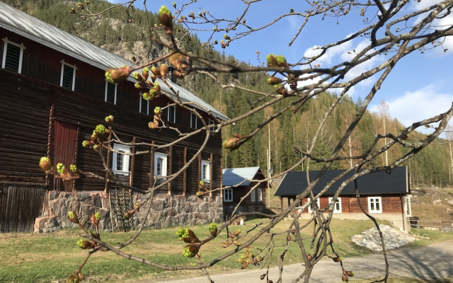Piltingsrud gardshotel - фото 5