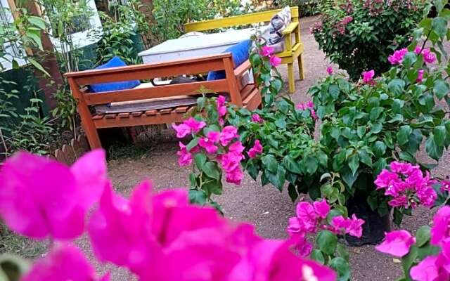 Canario Bungalows