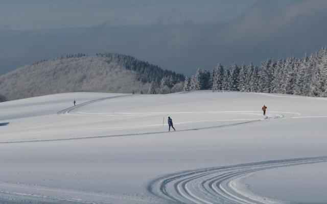 Ferienhaus Winterberg