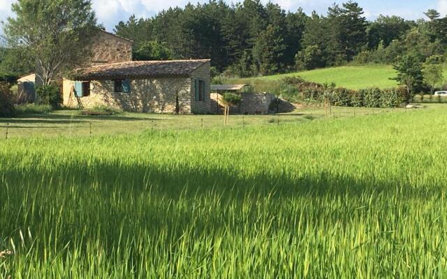 Le Jas du Mont Ventoux