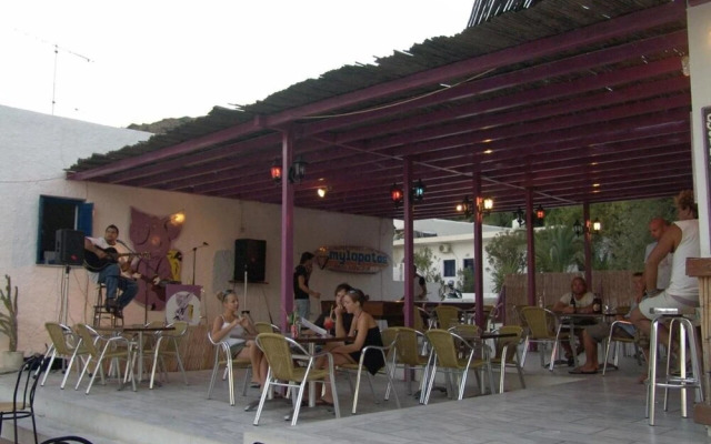Purple Pig Stars Camping & Bungalows