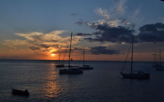 Anchorage Hotel, Whale Watch & Dive Center