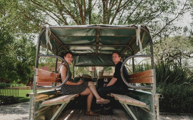 Viñedos Puerta del Lobo