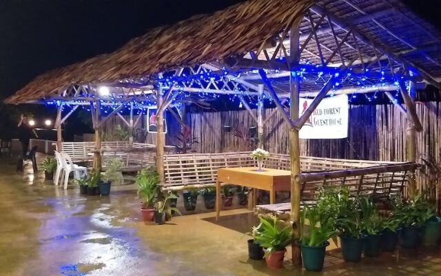 Red Forest Guest House