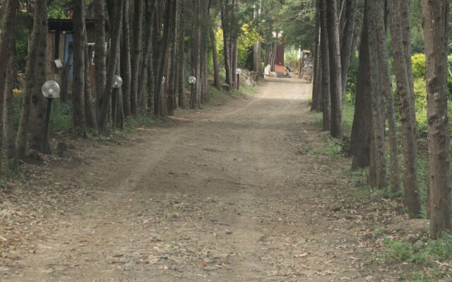 Tranquil homestays