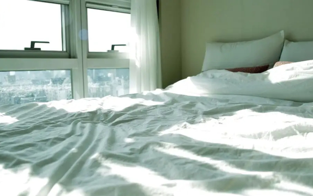 Location in Myeongdong Studio
