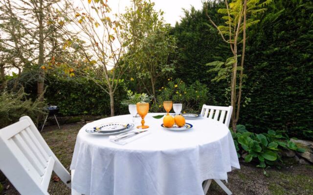 Conceição (NZE221)