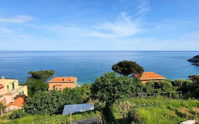 Villa Mimosa #Bluchalet