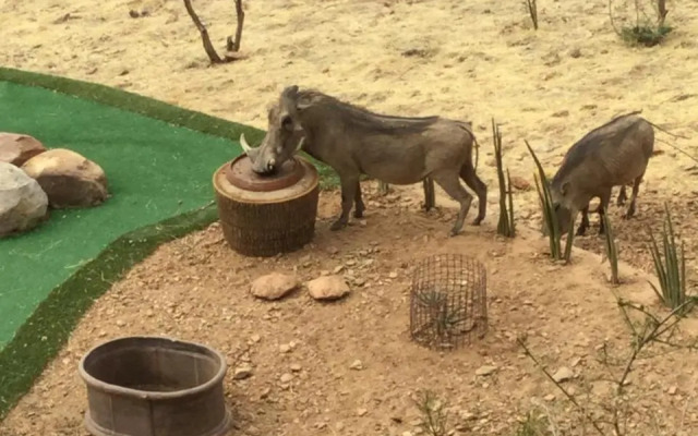 Windhoek Rural Self Catering