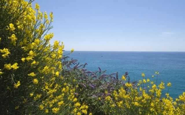 La Fiorita