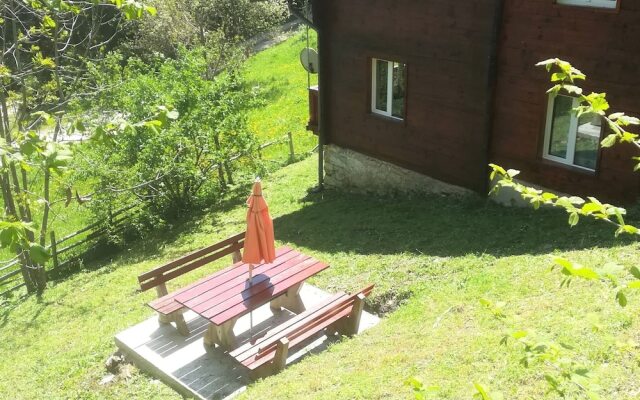 Spacious Chalet with Sauna near Ski Area in Wolfsberg