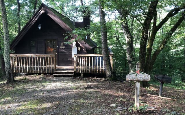 A Cabin In The Woods