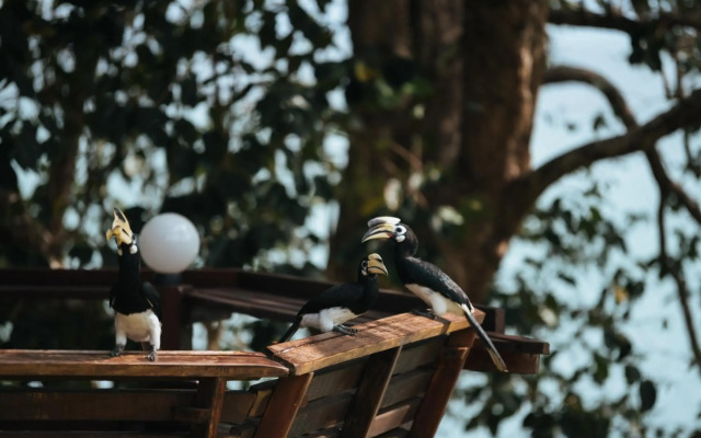 Phayamas Private Beach Resort and Island Brew - Adults Only