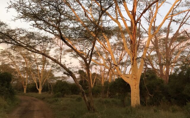 Msunduze River Lodge