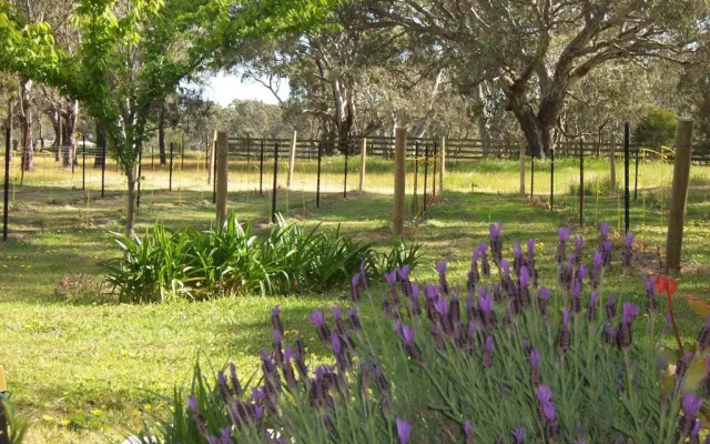 The Apartment - Moyston