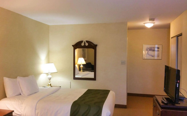 Quality Hotel & Suites
